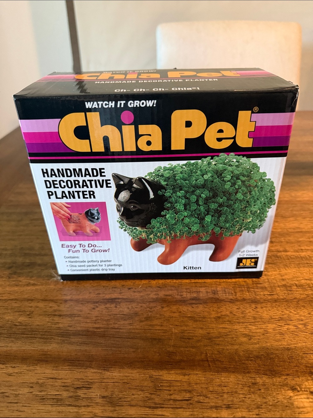 Kitten Handmade Decorative Planter - Black & Green